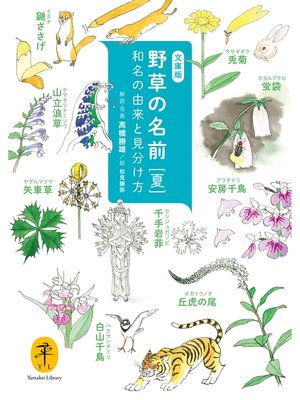 cover image of ヤマケイ文庫　野草の名前 夏
